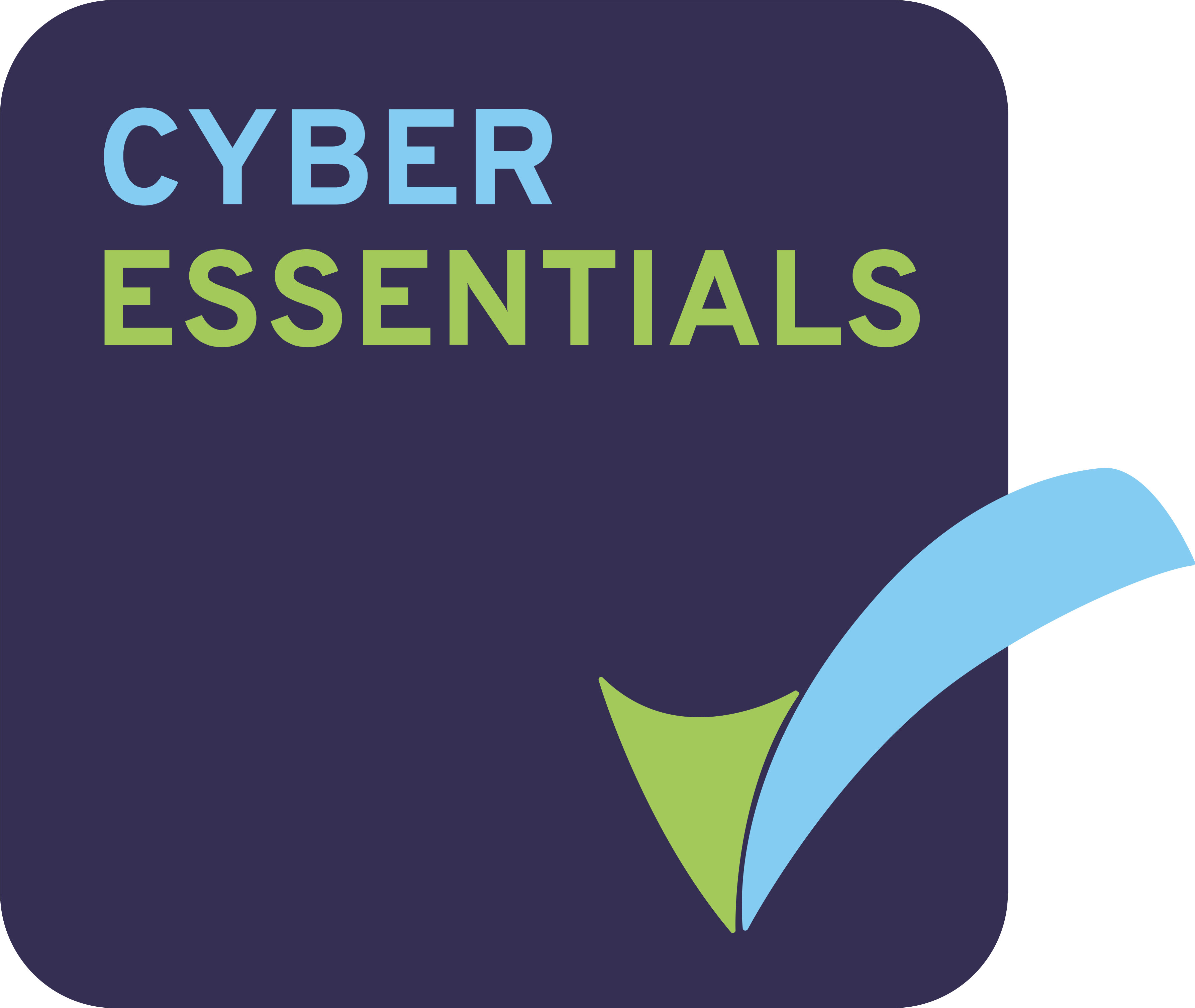 Cyber Essentials badge